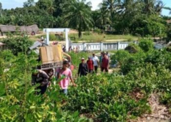 Korban Tenggelam Akibat Diterkam Buaya Ditemukan