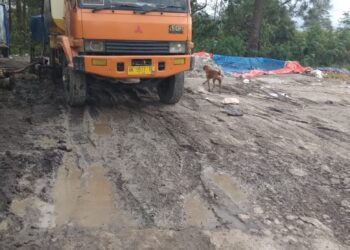 Supir Diduga Dipaksa Preman, Truk Pengangkut Minyak CPO ‘Kencing’ di Merek