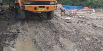 Supir Diduga Dipaksa Preman, Truk Pengangkut Minyak CPO ‘Kencing’ di Merek