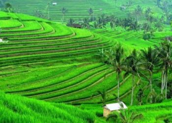 Menanti Polesan Tabanan Menjadi Primadona Pariwisata Bali