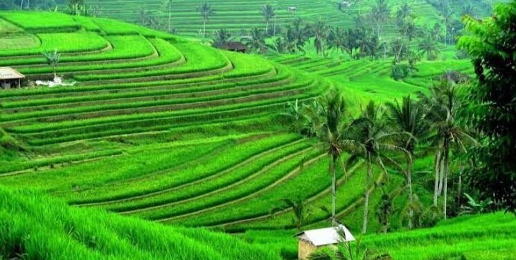 Menanti Polesan Tabanan Menjadi Primadona Pariwisata Bali