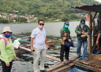 DKP Sumut Di Pangururan, Selidiki Penyebab Ratusan Ton Ikan Mati