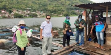 DKP Sumut Di Pangururan, Selidiki Penyebab Ratusan Ton Ikan Mati