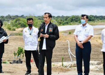 Setelah Kalimantan Tengah, Pemerintah Tetapkan Tapanuli Jadi Kawasan Lumbung Pangan Baru