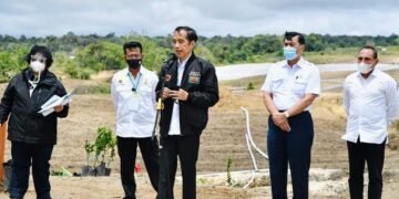 Setelah Kalimantan Tengah, Pemerintah Tetapkan Tapanuli Jadi Kawasan Lumbung Pangan Baru