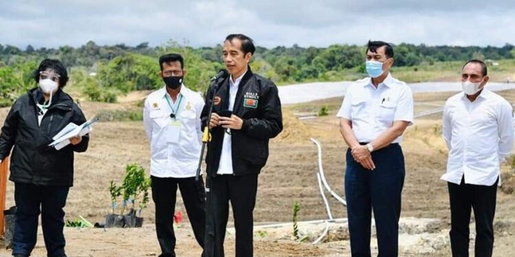 Setelah Kalimantan Tengah, Pemerintah Tetapkan Tapanuli Jadi Kawasan Lumbung Pangan Baru