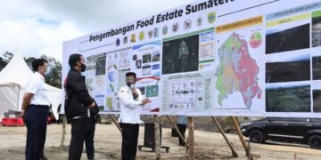 Tahun 2020 Pemerintah Targetkan Food Estate Humbahas 1.000 Hektar