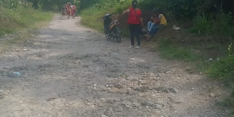 Jalan Rusak Parah, Warga Desa Negeraya Kutalimbaru Minta Bupati Deli Serdang Segera Memperbaikinya