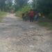 Jalan Rusak Parah, Warga Desa Negeraya Kutalimbaru Minta Bupati Deli Serdang Segera Memperbaikinya