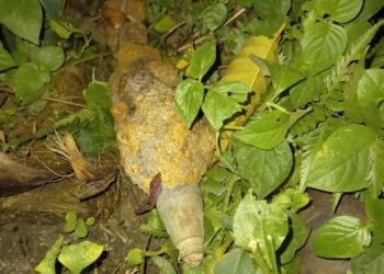Warga Simalungun Temukan Mortir Di Ladang