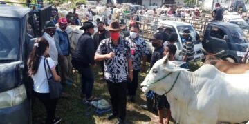 Selalu Rendah Hati, Bupati Minsel Blusukan Ke Pasar Hewan