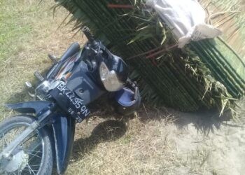 Aneh, Pedagang Atap Rumbia Tiba-tiba Pusing, Dada Sesak Dan Meninggal Dunia