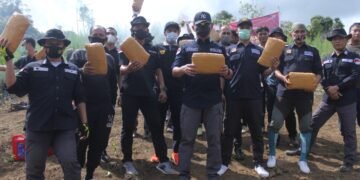Bareskrim Polri Musnahkan 5 Hektare Ladang Ganja di Sumut