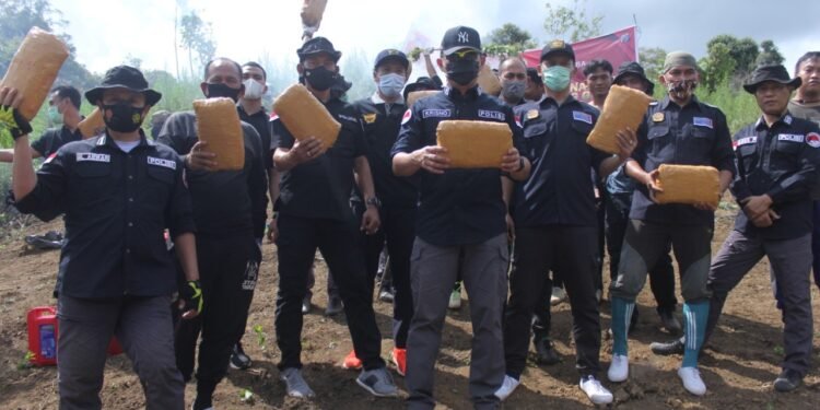 Bareskrim Polri Musnahkan 5 Hektare Ladang Ganja di Sumut