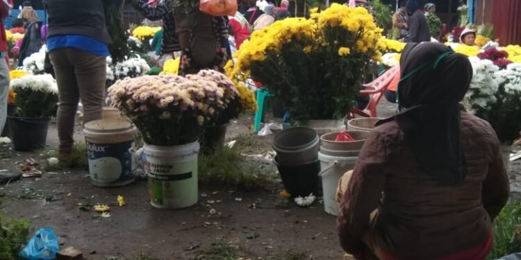 Pedagang Bunga Menjerit, Akibat Pandemi Covid-19 Harga Bunga Belum Stabil