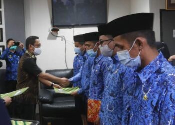 Wabup Mamuju Serahkan 89 SK CPNS Formasi Umum Tahun 2019 Secara Simbolis