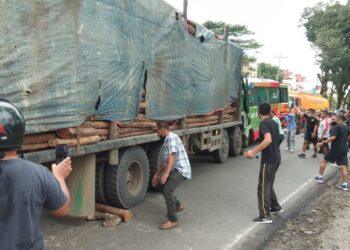 Bus Penumpang Pariwisata Laga Kambing Dengan Tronton Pengangkut Kayu Balok