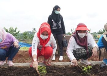 Ketua TP PKK Hj Winarni Nanang Ermanto Tanam Bunga di Kebun Edukasi. Berharap Jadi Contoh Sampai Ke Tingkat Desa