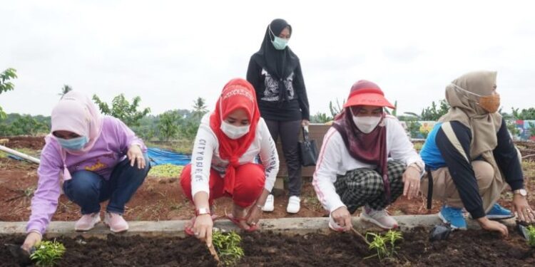 Ketua TP PKK Hj Winarni Nanang Ermanto Tanam Bunga di Kebun Edukasi. Berharap Jadi Contoh Sampai Ke Tingkat Desa