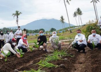 Bupati Tanam 150 Jenis Tanaman Toga Untuk Pengembangan Kebun Edukasi