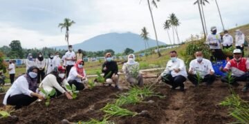 Bupati Tanam 150 Jenis Tanaman Toga Untuk Pengembangan Kebun Edukasi