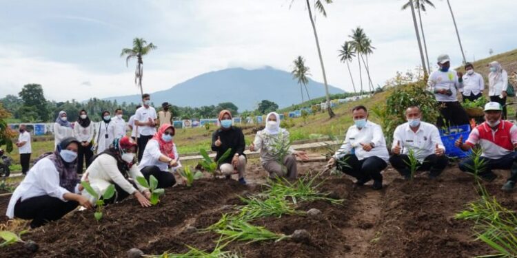 Bupati Tanam 150 Jenis Tanaman Toga Untuk Pengembangan Kebun Edukasi