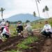 Bupati Tanam 150 Jenis Tanaman Toga Untuk Pengembangan Kebun Edukasi