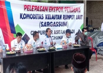 Nanang Ermanto Lepas Ekspor Perdana Rumput Laut Sargassum
