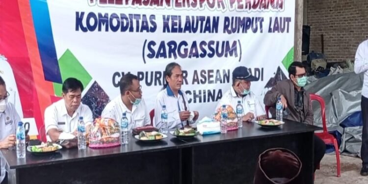 Nanang Ermanto Lepas Ekspor Perdana Rumput Laut Sargassum