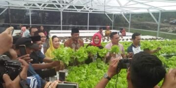 Bantu Pemerintah Wujudkan Program Ketahanan Pangan, KOPITU DIY Perbanyak Mitra Binaan Bidang Agrobisnis Pertanian Modern