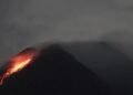 Masyarakat Empat Kabupaten Mengungsi, Gunung Merapi Mengeluarkan Larva