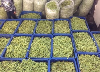 Kacang Kedelai Langka, Harga Tempe dan Tahu di Pasar Salatiga Meroket