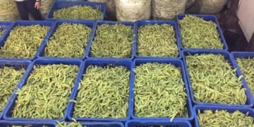 Kacang Kedelai Langka, Harga Tempe dan Tahu di Pasar Salatiga Meroket