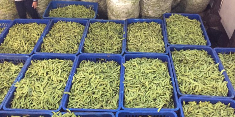 Kacang Kedelai Langka, Harga Tempe dan Tahu di Pasar Salatiga Meroket