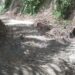 Jaringan Listrik Masuk Desa Urung Lingga, Tapi Warga Terisolir Lantaran Infrastruktur Jalan Rusak Berat