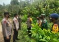 Kapolda Sulbar Kunjungi Posko Pengungsian di Malunda