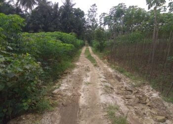 Diduga Proyek Siluman Ditemukan di Simalungun