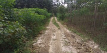 Diduga Proyek Siluman Ditemukan di Simalungun