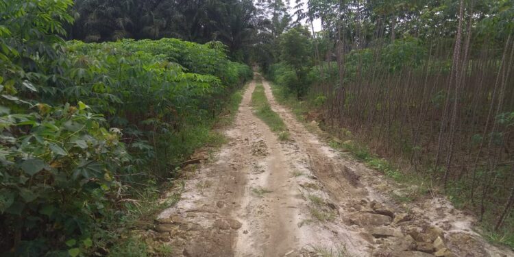 Diduga Proyek Siluman Ditemukan di Simalungun