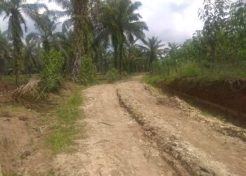 Proyek CSR PTPN IV Kebun Laras Baru Seumur Jagung Tapi Sudah Rusak Parah