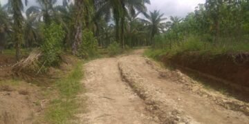 Proyek CSR PTPN IV Kebun Laras Baru Seumur Jagung Tapi Sudah Rusak Parah