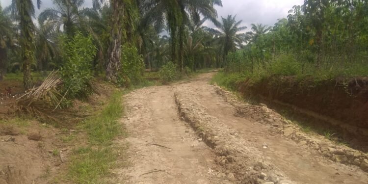 Proyek CSR PTPN IV Kebun Laras Baru Seumur Jagung Tapi Sudah Rusak Parah