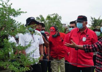Ajak Masyarakat Peduli Lingkungan, Bupati Nanang Bersama Ketua Komisi IV DPR RI Tanam Mangrove