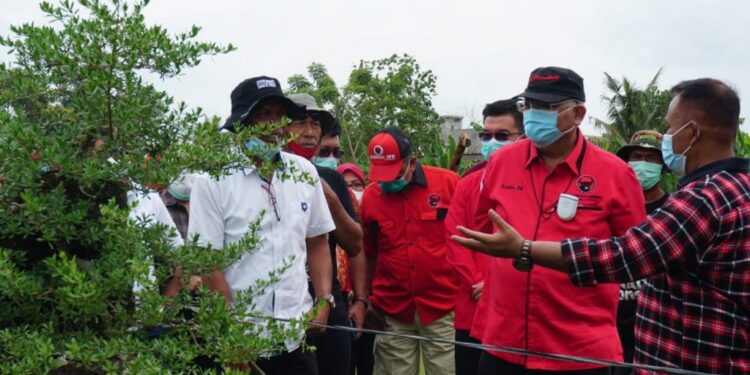 Ajak Masyarakat Peduli Lingkungan, Bupati Nanang Bersama Ketua Komisi IV DPR RI Tanam Mangrove