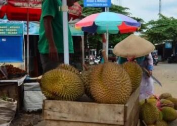 Omzet Pedagang Durian Pekalongan Anjlok