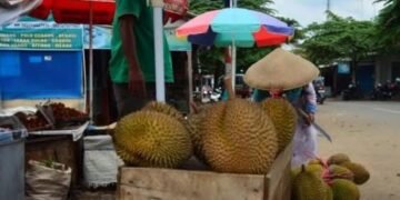 Omzet Pedagang Durian Pekalongan Anjlok