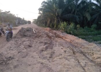 Kondisi Jalan Penghubung Kecamatan Kubu dan Pasir Limau Kapas Rusak Parah, Pemkab Rohil Tutup Mata