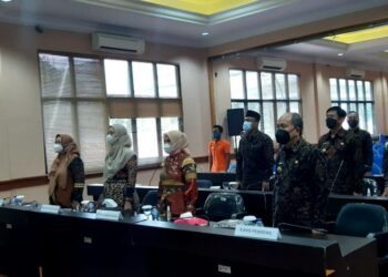 Ketua dan Wakil Ketua Dekranasda Lamsel Ikuti Webinar HUT Ke-41 Dekranasda Secara Virtual