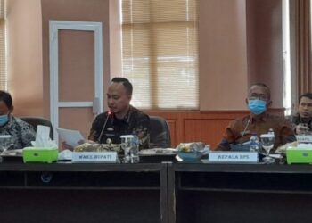 Wabup Lamsel Pandu Kesuma Dewangsa Jadi Nara Sumber Rapat TKPKD Lampung Tahun 2021
