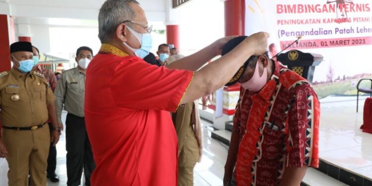 Ketua Komisi IV DPR RI Reses di Lamsel Gelar Bimtek Peningkatan Kapasitas Petani dan Penyuluh